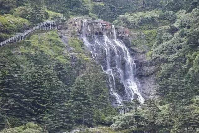 一顿浪漫晚餐